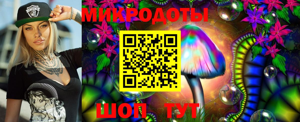 продажа наркотиков  Галлюциногенные грибы Cubensis  Большой Камень  Вход с VPN  Галлюциногенные грибы Psilocybine cubensis 