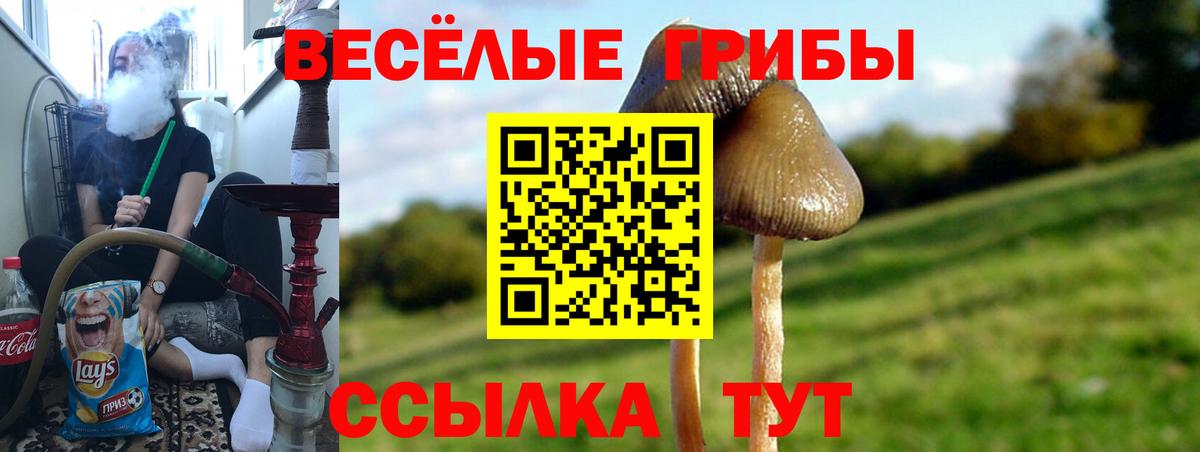 Галлюциногенные грибы прущие грибы Большой Камень